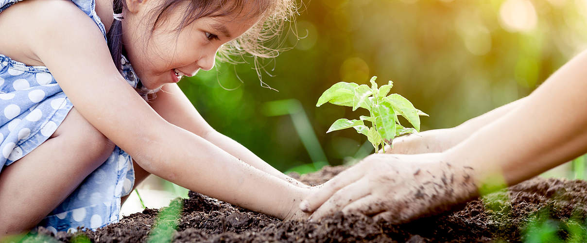 Mädchen pflanzt einen Setzling © Shutterstock / A3pfamily / WWF