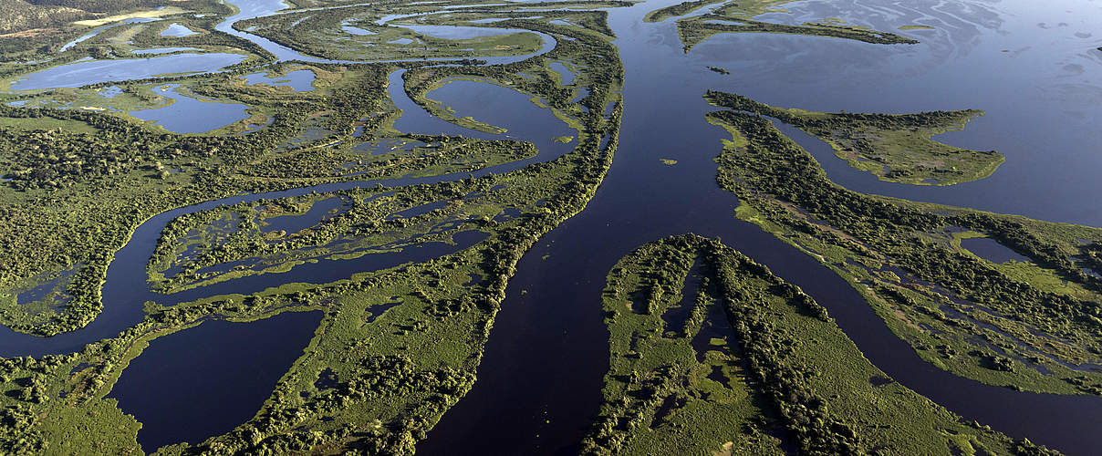 Pantanal © Andre Dib / WWF Brasil
