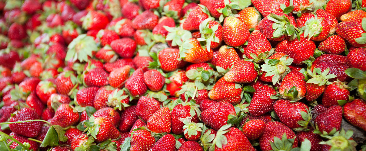 Erdbeeren auf dem Markt © Global Warming Images / WWF