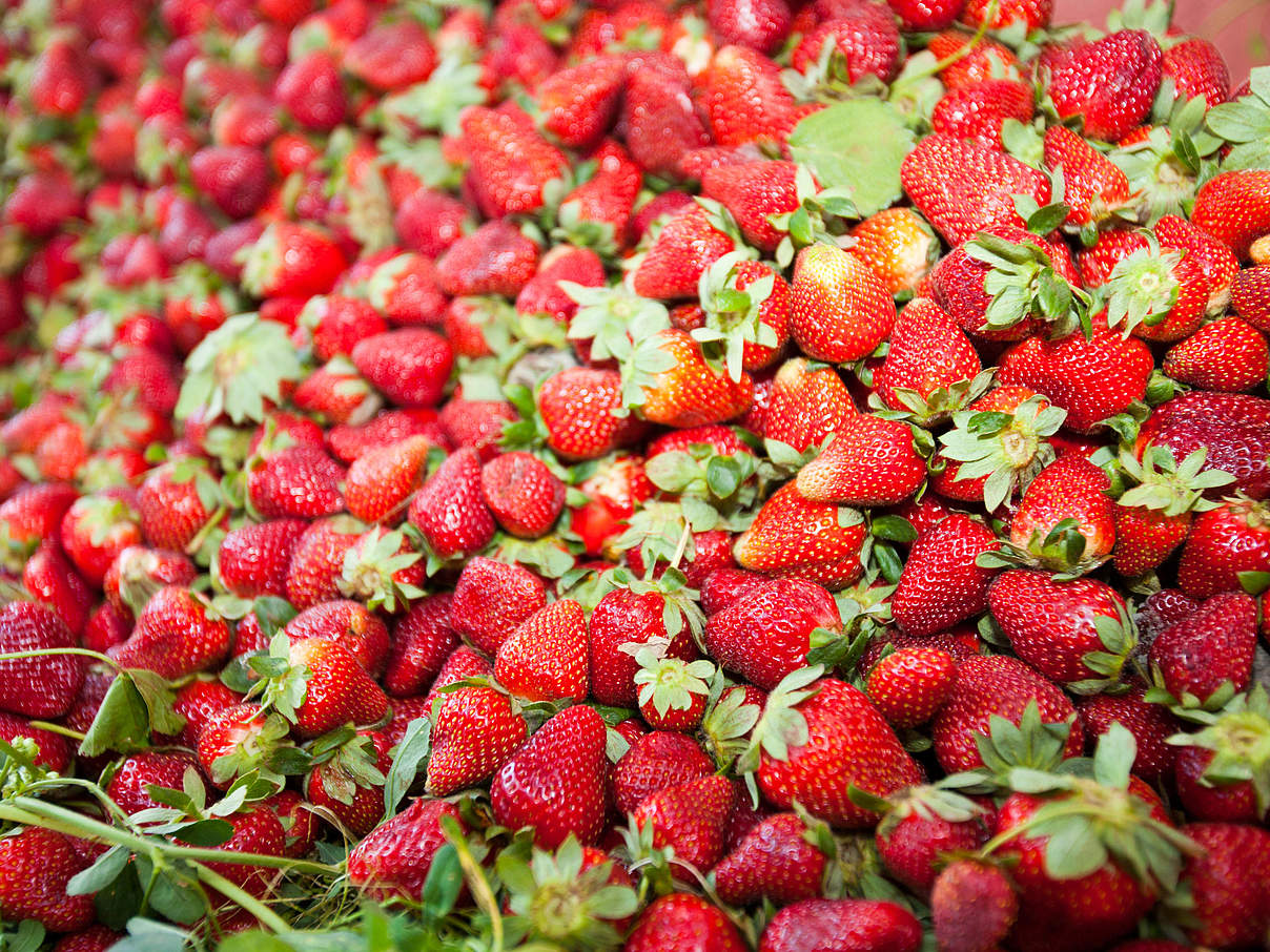 Erdbeeren auf dem Markt © Global Warming Images / WWF