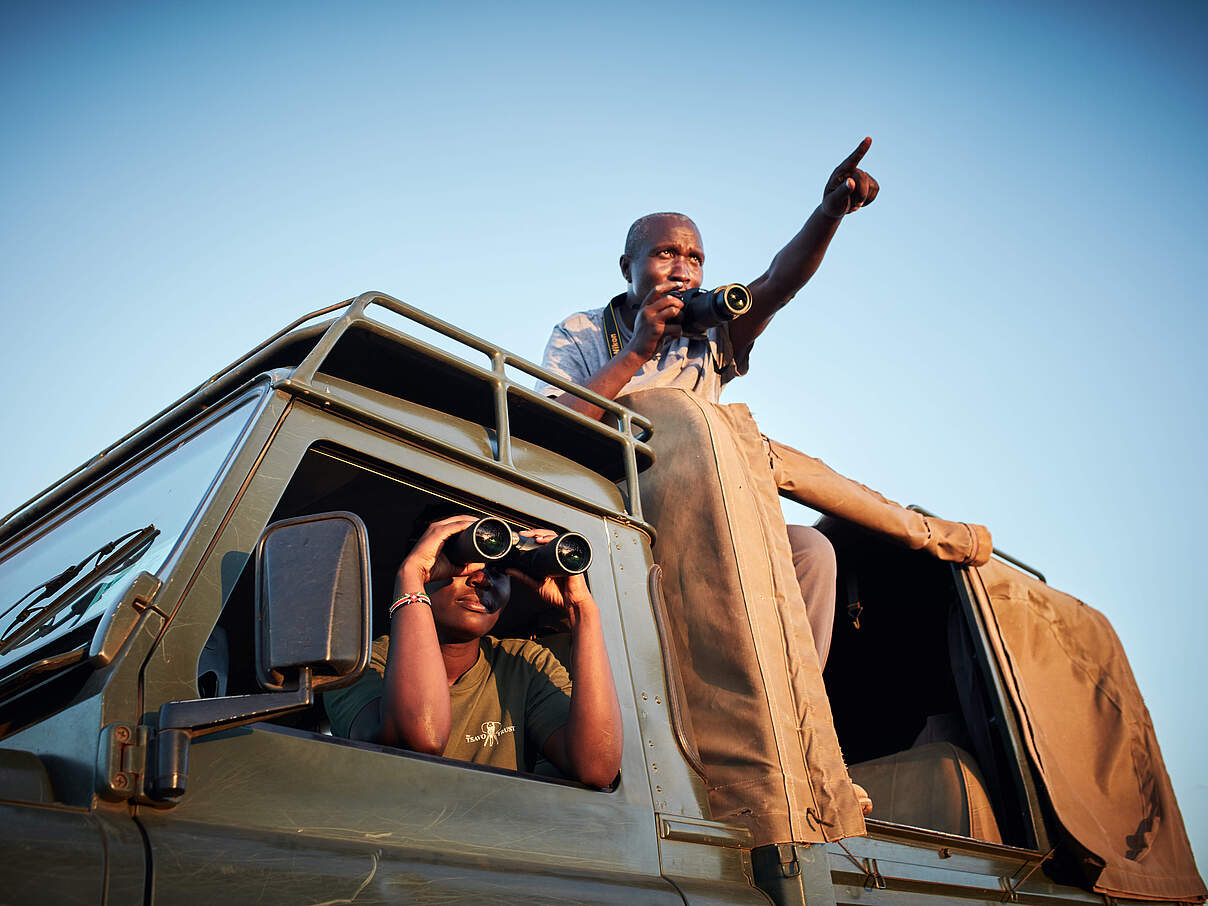 Tsavo Trust Mitarbeiter zählen Löwen im Tsavo Ost Nationalpark