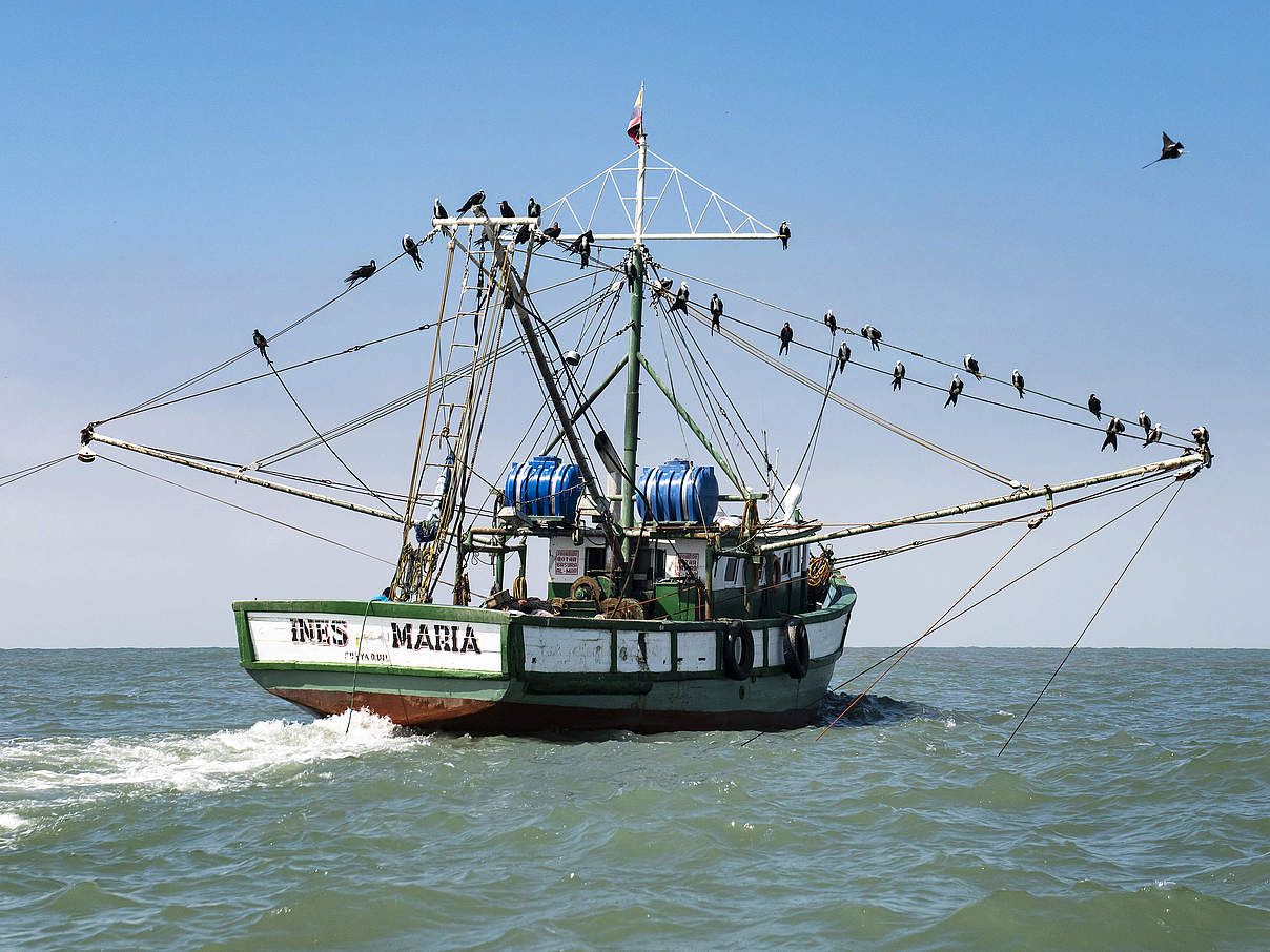Garnelen Fischerboot in Posorja, Ecuador. © Antonio Busiello / WWF-US Garnelen Fischerboot in Posorja, Ecuador. © Antonio Busiello / WWF-US