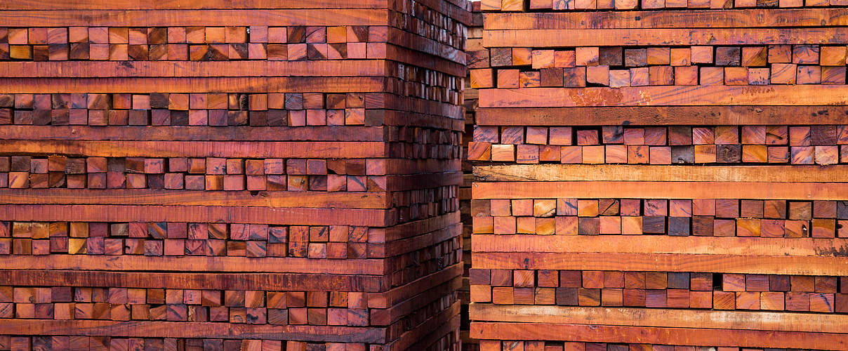 Gestapeltes Holz © Jason Houston / WWF US