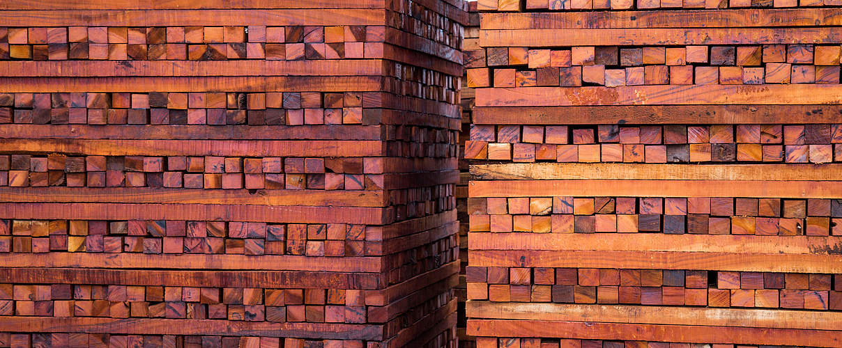 Gestapeltes Holz © Jason Houston / WWF US