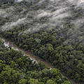 Nebel über Aldeia Jamari im indigenen Land in Rondonia © Marizilda Cruppe / WWF UK