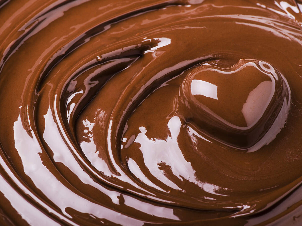 Schokoladenher in geschmolzener Schokolade