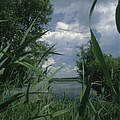 Unteres Odertal © Chris Martin Bahr / WWF