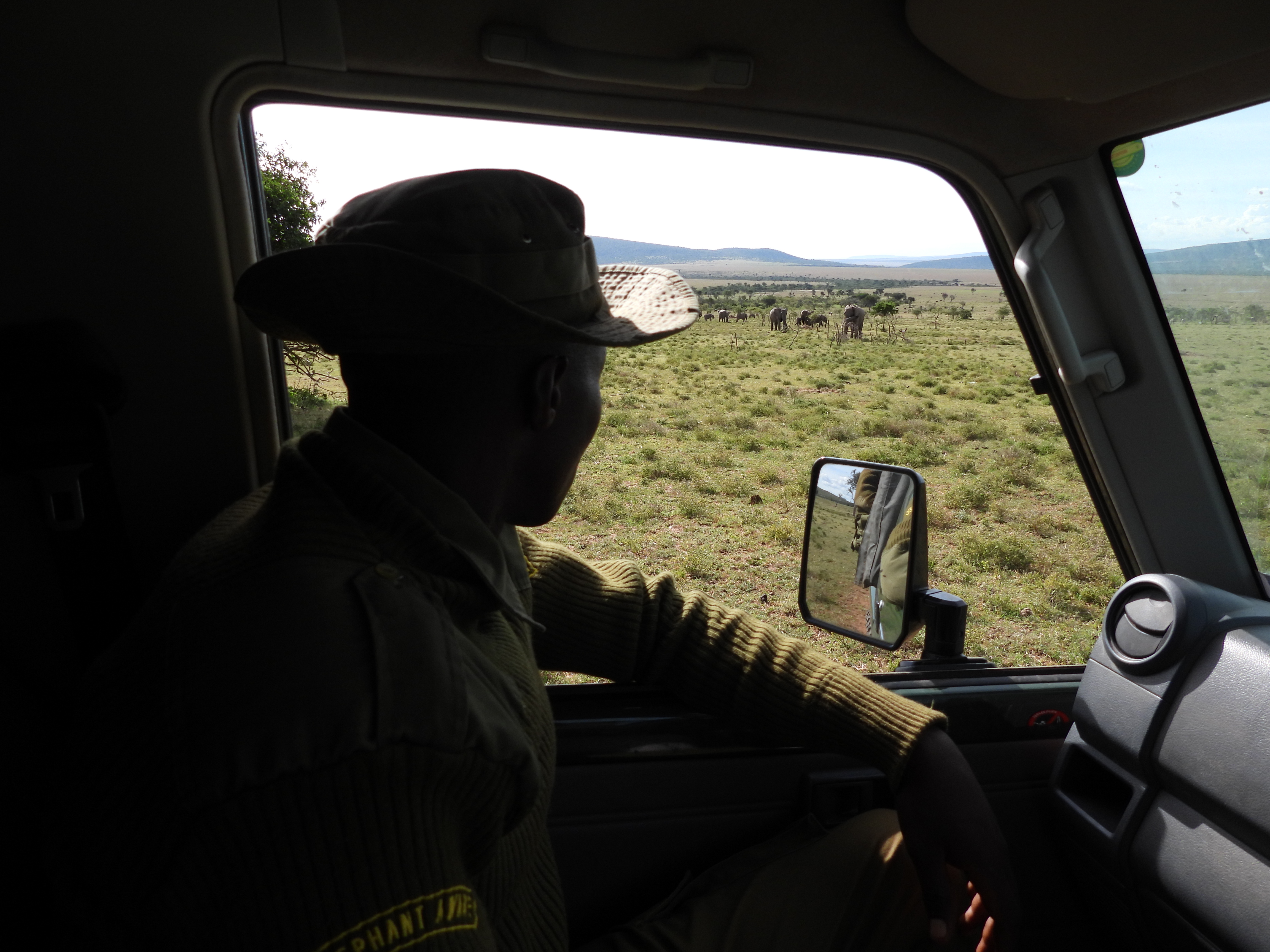 Die Teams von Elephant Aware und der Mara Vet Unit haben „ihre“ Elefanten immer im Blick. 