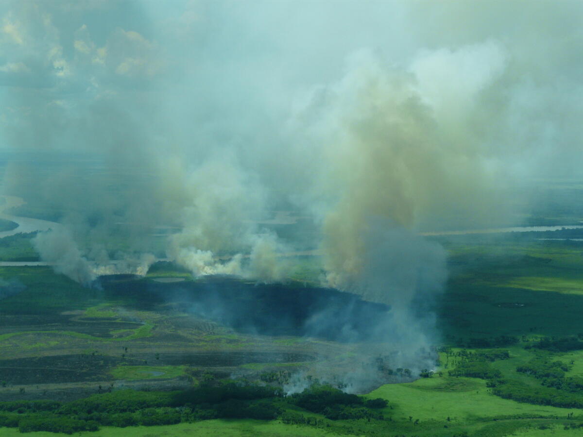 Ein Feuer im entfernten Pantanal in Bolivien.