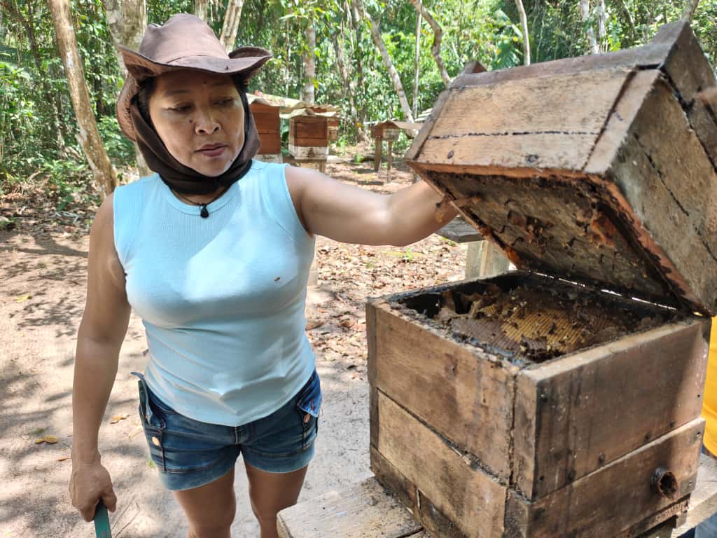 Joelma Lopes und ihre Bienenkästen.