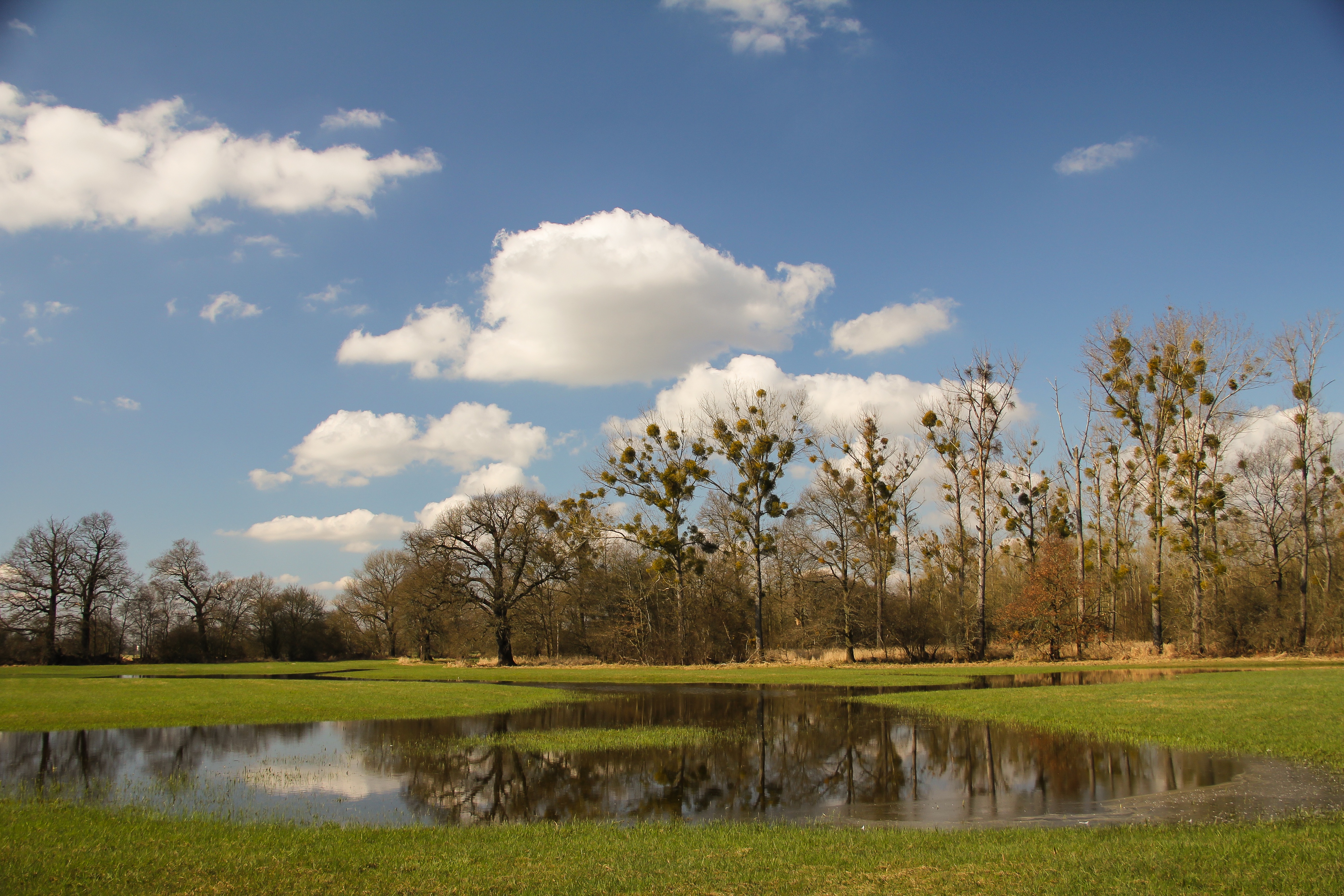Hochwasser in der Aue