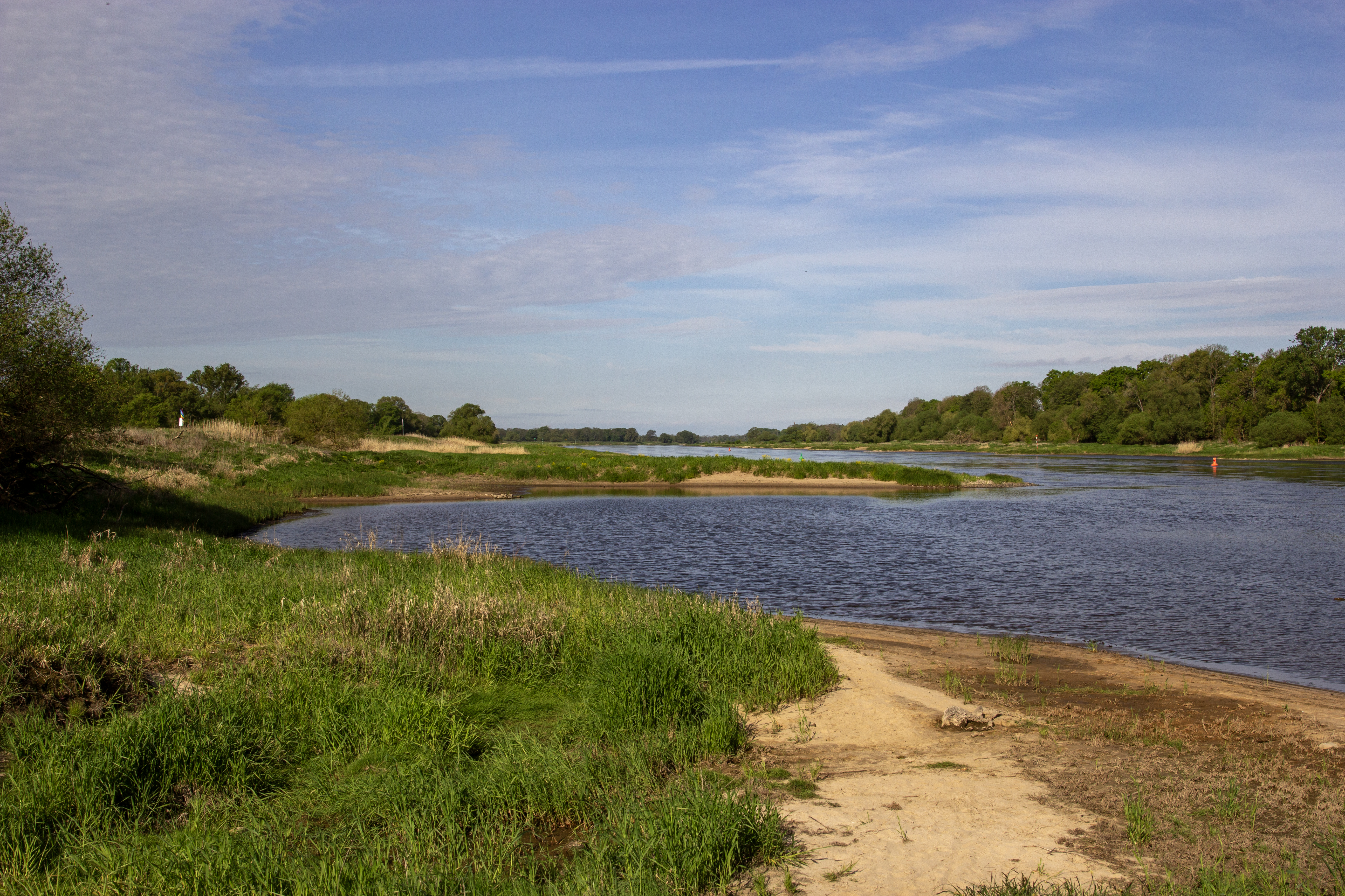WWF-Projektfläche an der Elbe in Dessau Großkühnau