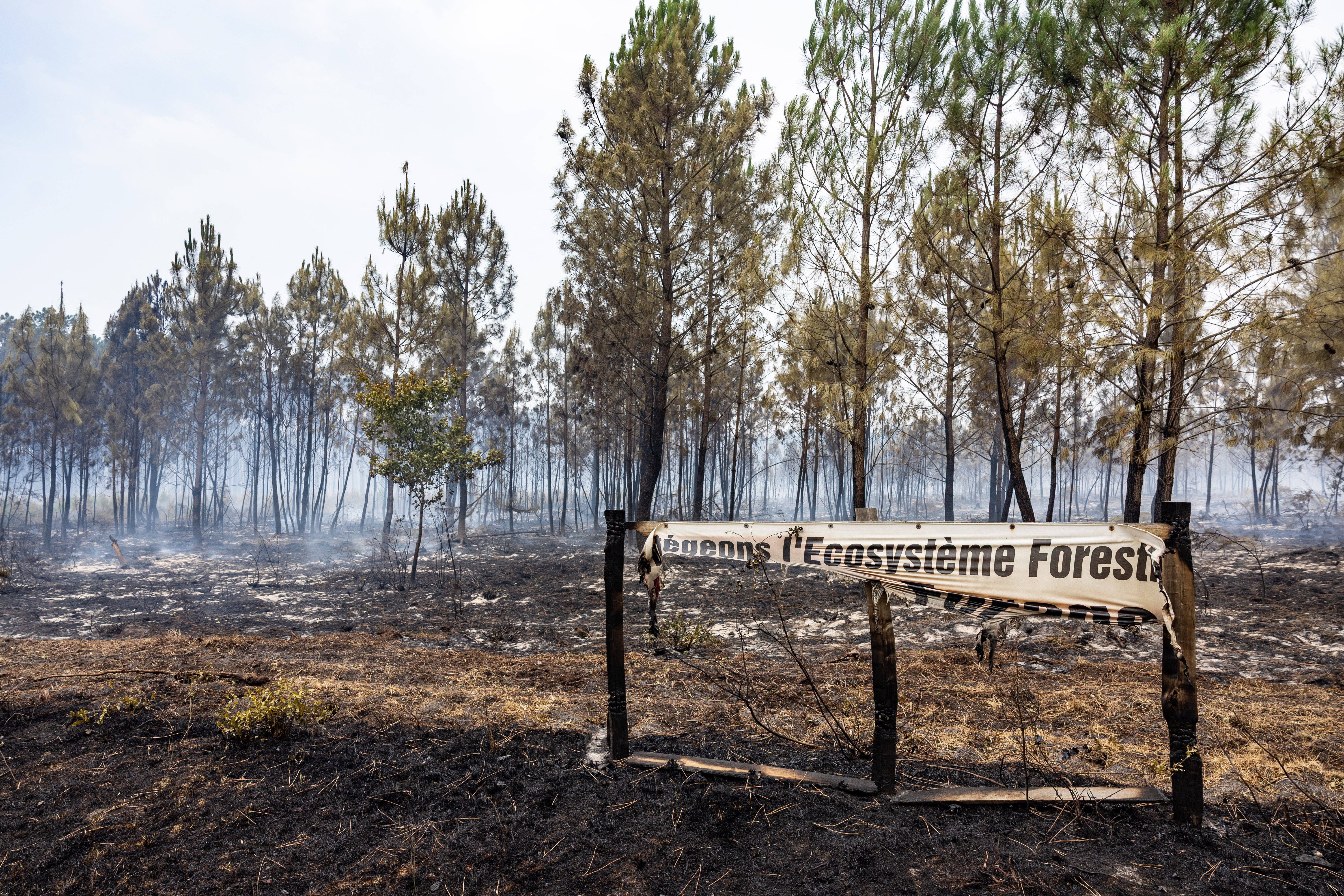 Verbrannte Grundstücke in Gironde, Frankreich, nach den großen Waldbränden in Frankreich im Sommer 2026, im Vordergrund ein verbranntes Schild auf dem auf Französisch zu entziffern ist, dass das Ökosystem Wald geschützt werden muss.