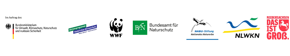 NGP Krautsand Logos der Förderer und Partner: Bundesministerium für Umwelt, Klimaschutz, Naturschutz und nukleare Sicherheit, Aktionsprogramm Natürlicher Klimaschutz, World Wide Fund For Nature, Bundesamt für Naturschutz, NABU-Stiftung Nationales Naturerbe, Niedersächsischer Landesbetrieb für Wasserwirtschaft, Küsten- und Naturschutz, Land Niedersachsen