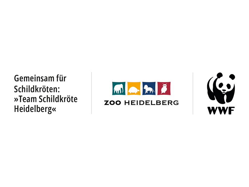 Partnerlogo Team Schildkröte Heidelberg Partnerlogo Team Schildkröte Heidelberg