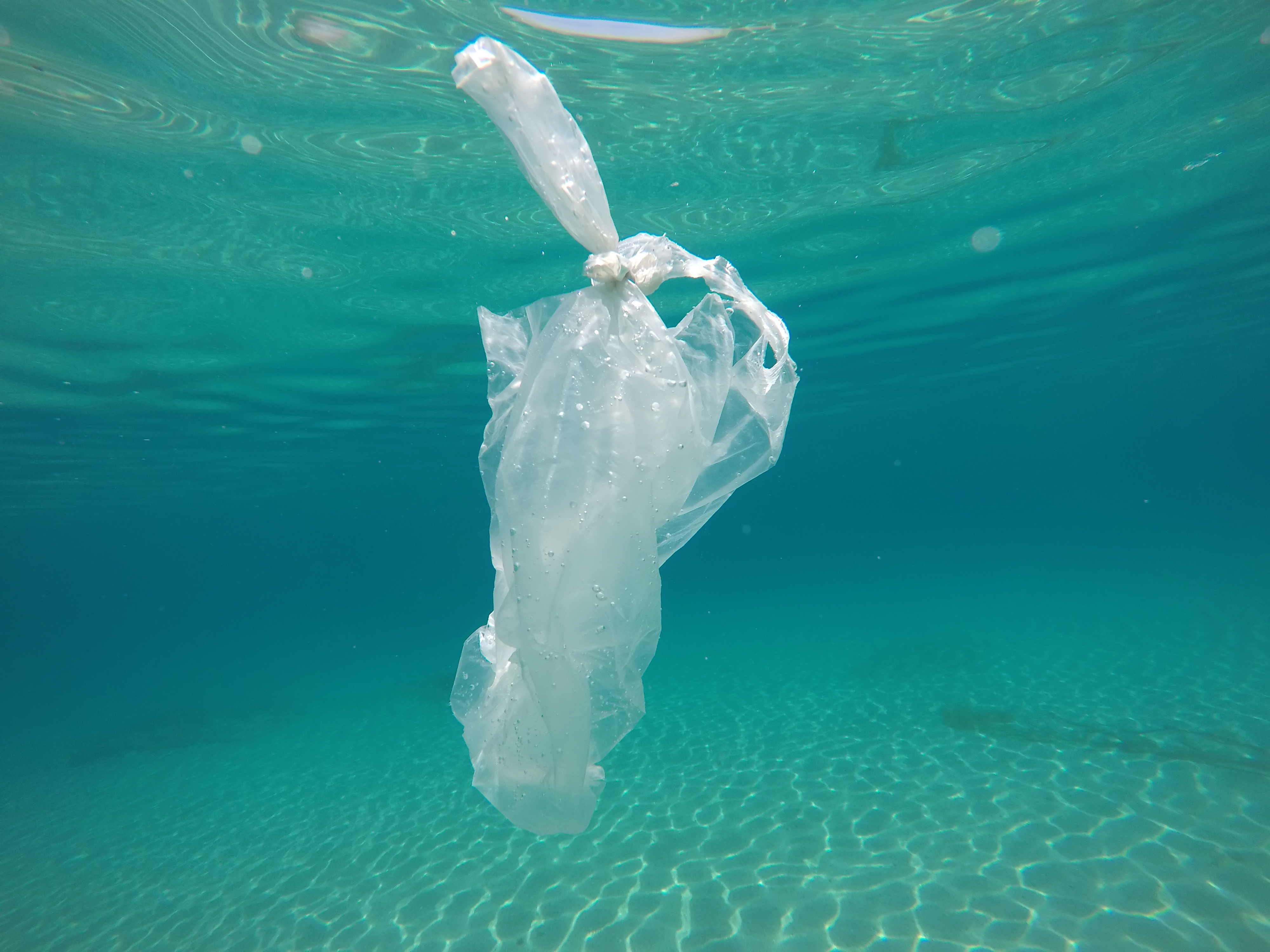 Plastiktüte im Wasser © GettyImages Plastiktüte im Wasser © GettyImages