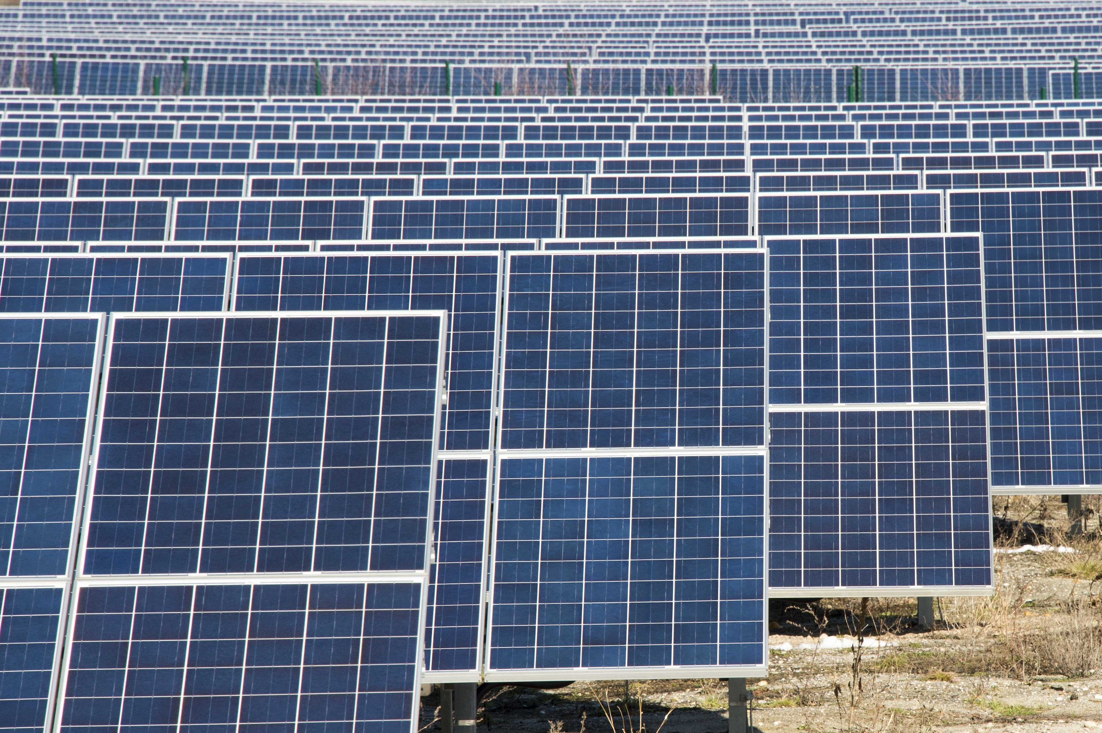 Solaranlage in Brandenburg © Ralph Frank / WWF