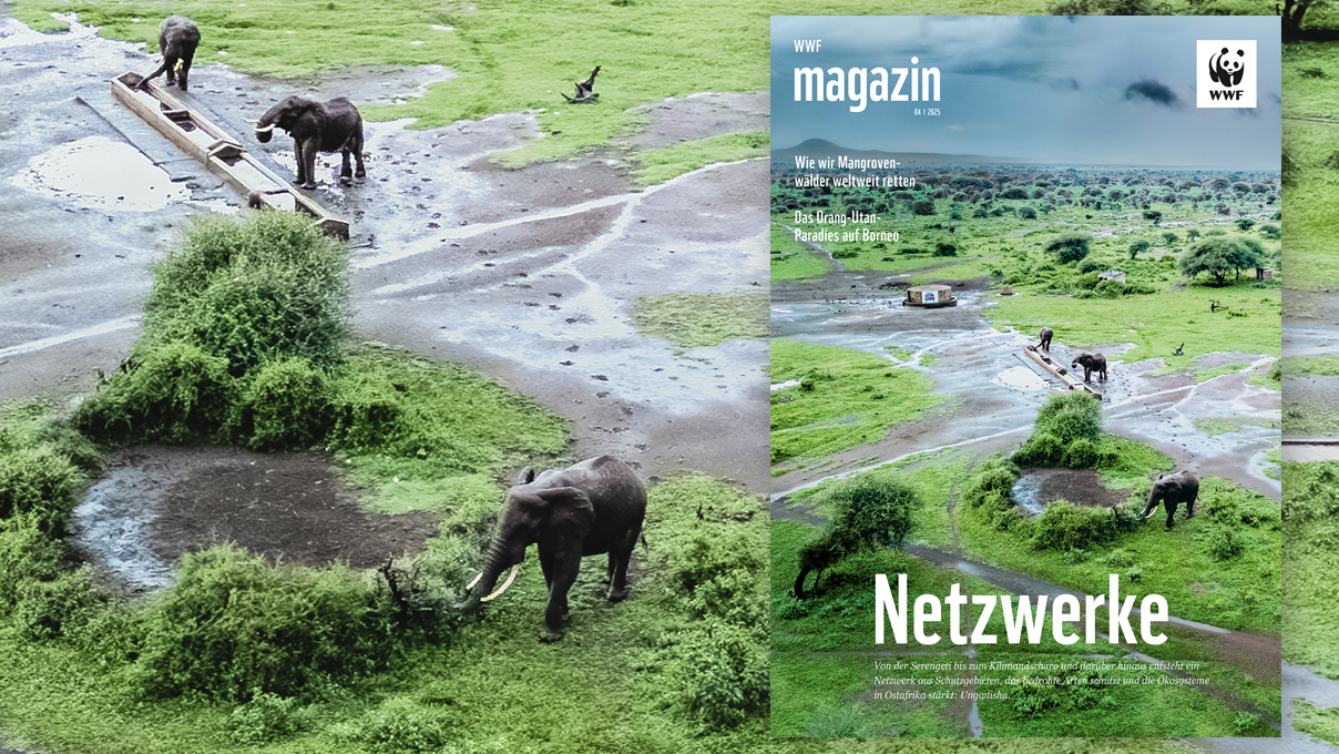 WWF Magazin 04 /2025: Unganisha.