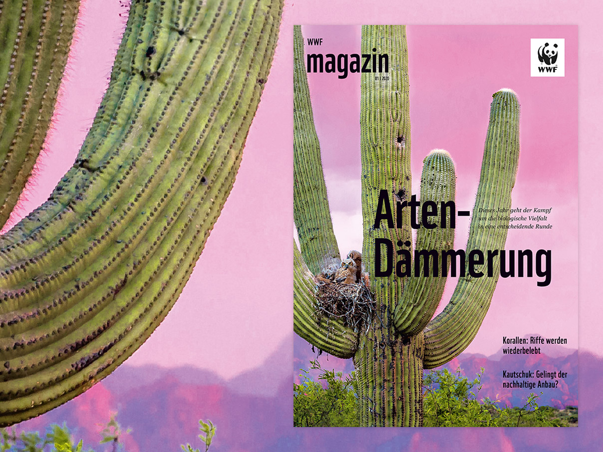 WWF-Magazin "Biologische Vielfalt" Januar 2020 © WWF