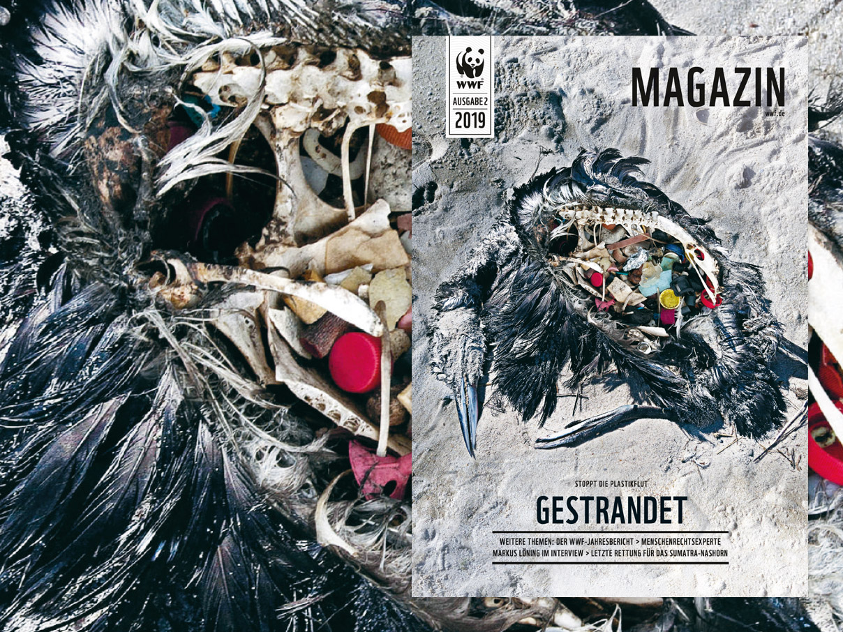 WWF Magazin Mai 2019 © WWF