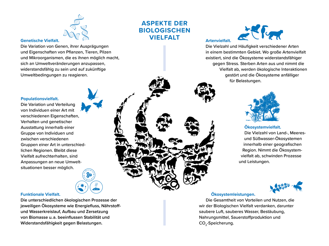 Grafik mit Aspekten der biologischen Vielfalt 